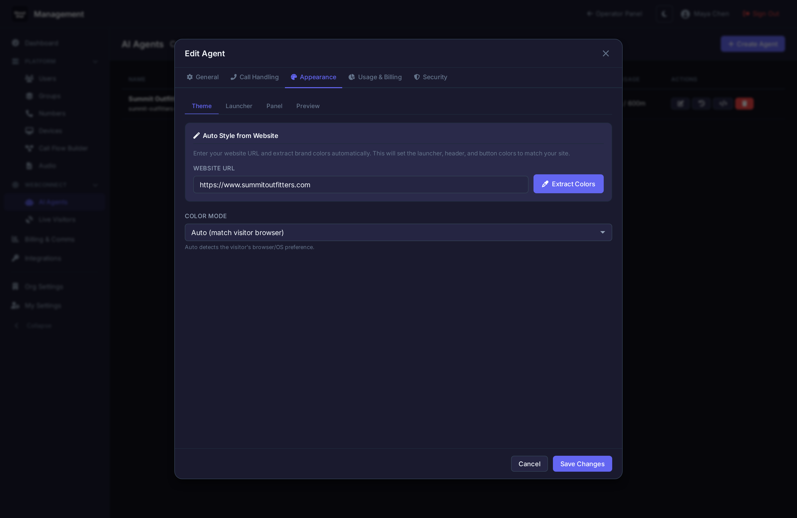 Widget builder showing appearance customization and auto-style from website